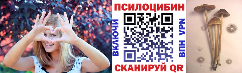 Псилоцибиновые грибы Psilocybe  как найти закладки  Исилькуль 